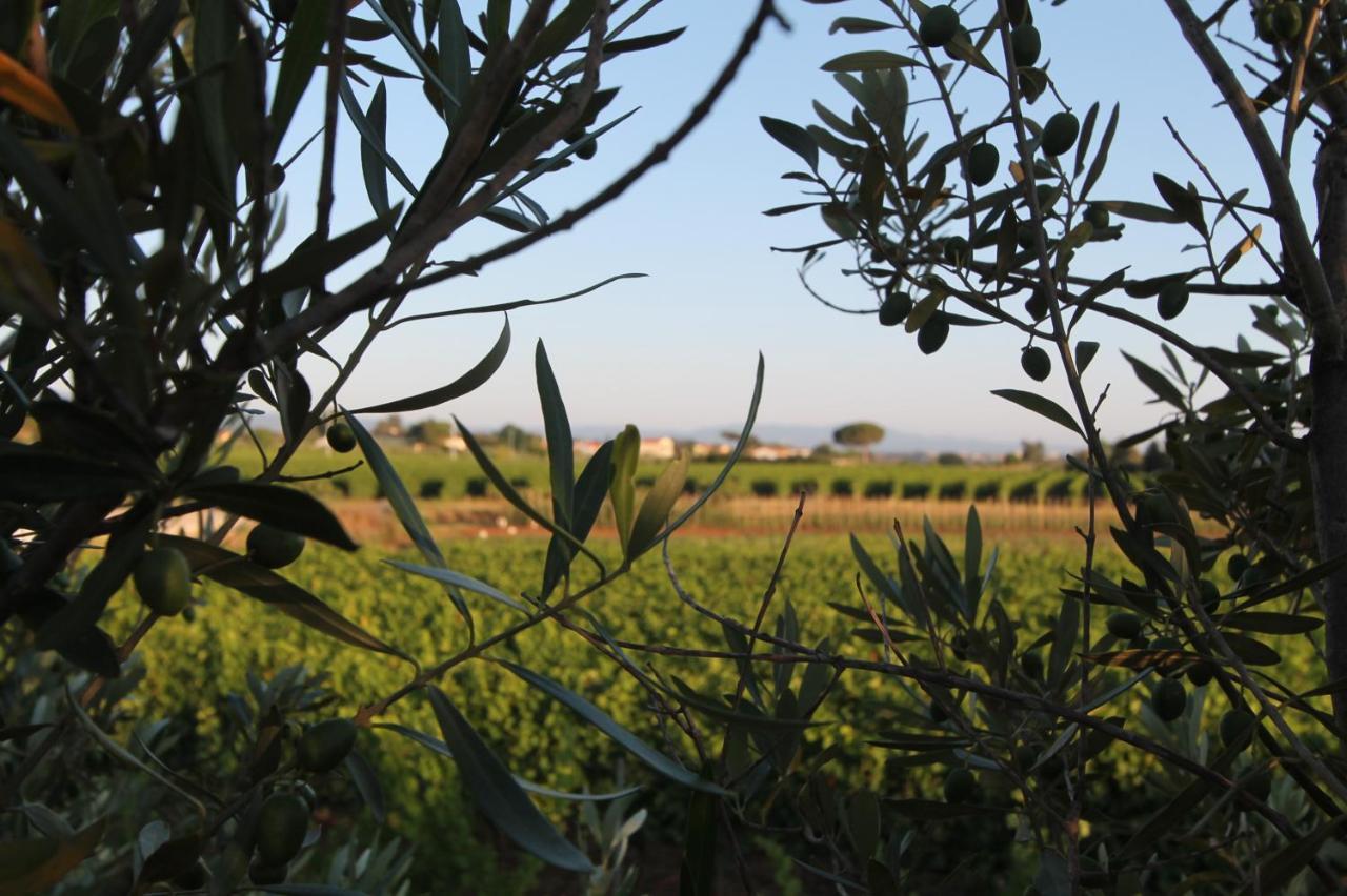 Agrihotel Elisabetta Collemezzano Bagian luar foto