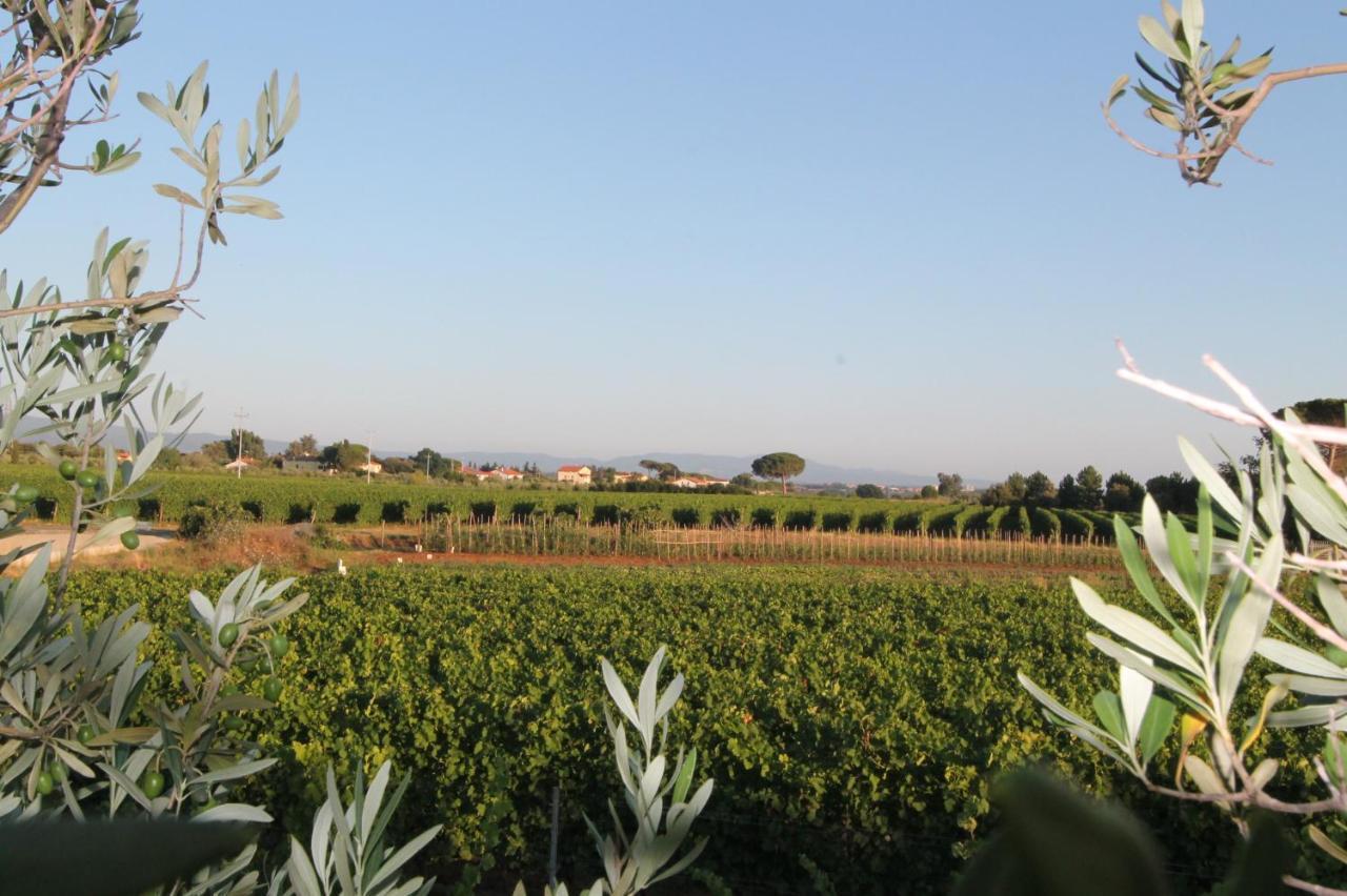 Agrihotel Elisabetta Collemezzano Bagian luar foto